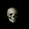 2skull.gif